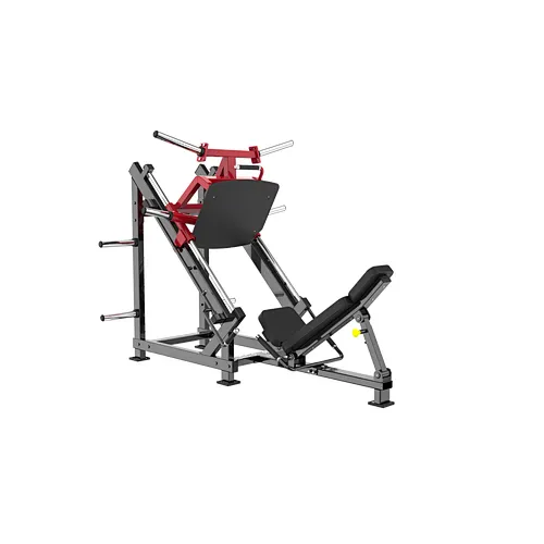 SEATED BICEPS